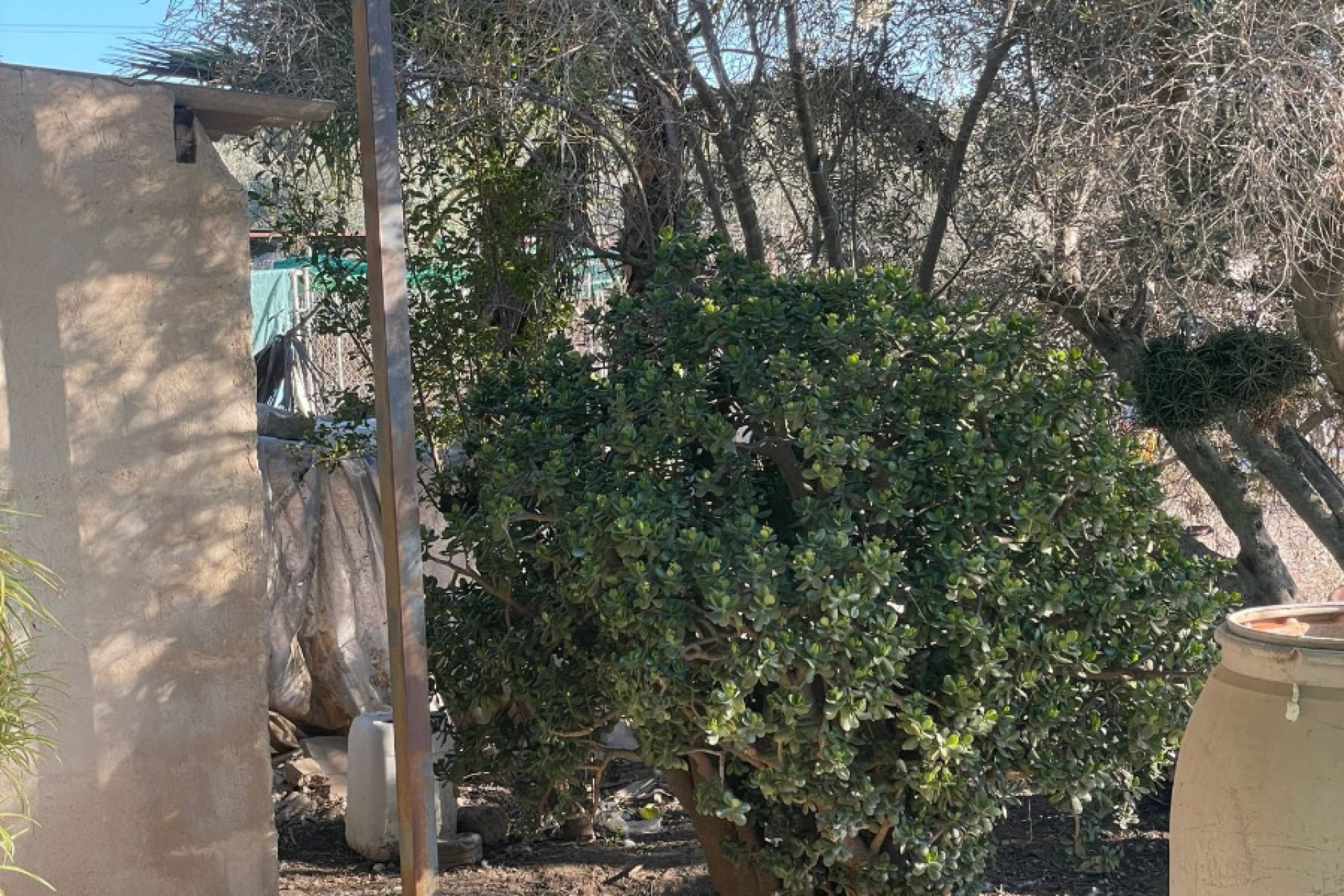 Sale - Finca - Elche - La Marina