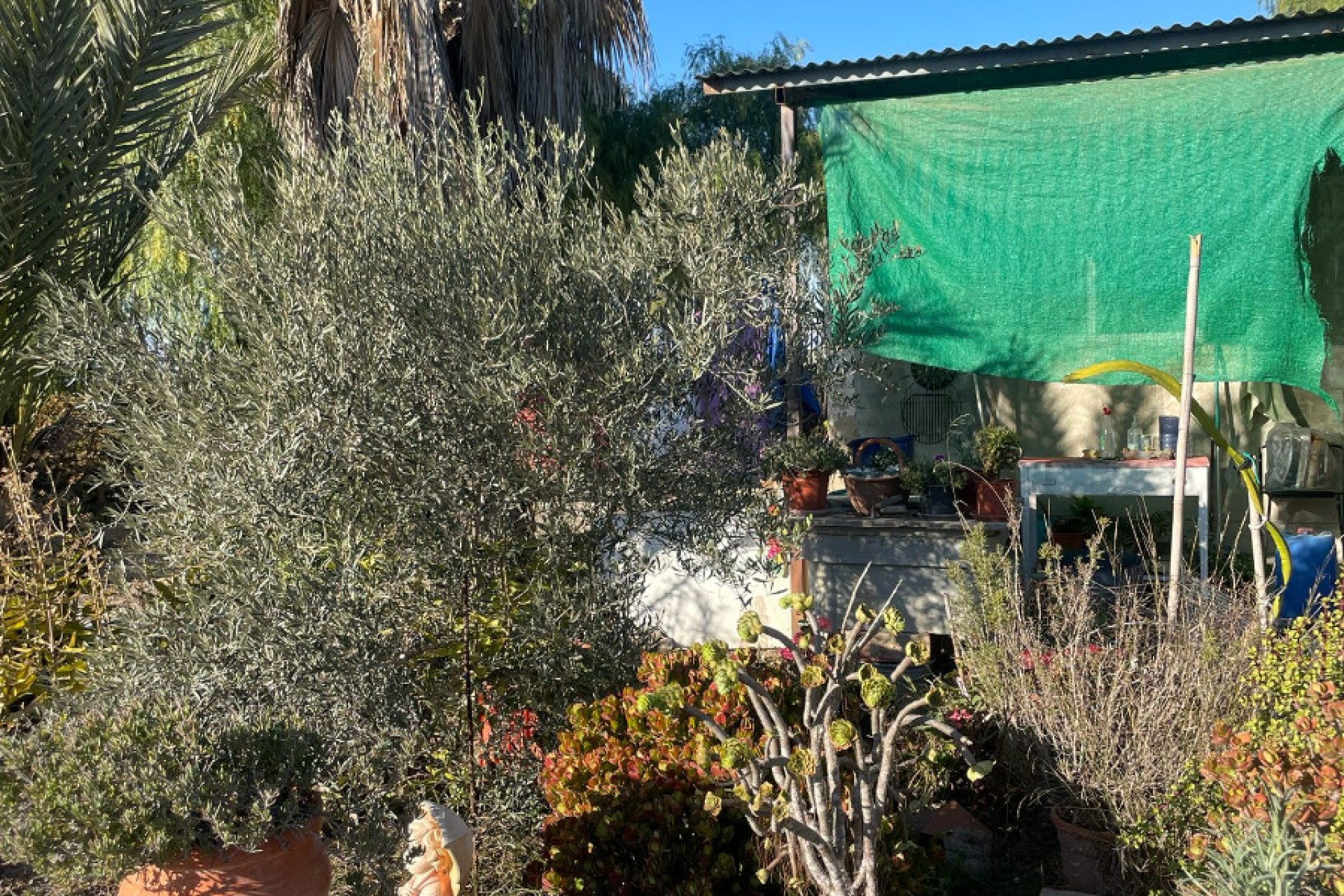 Sale - Finca - Elche - La Marina