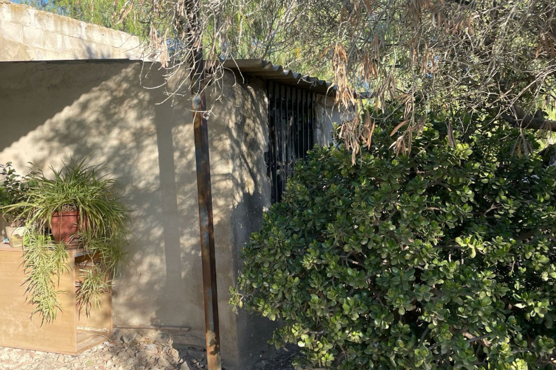 Sale - Finca - Elche - La Marina