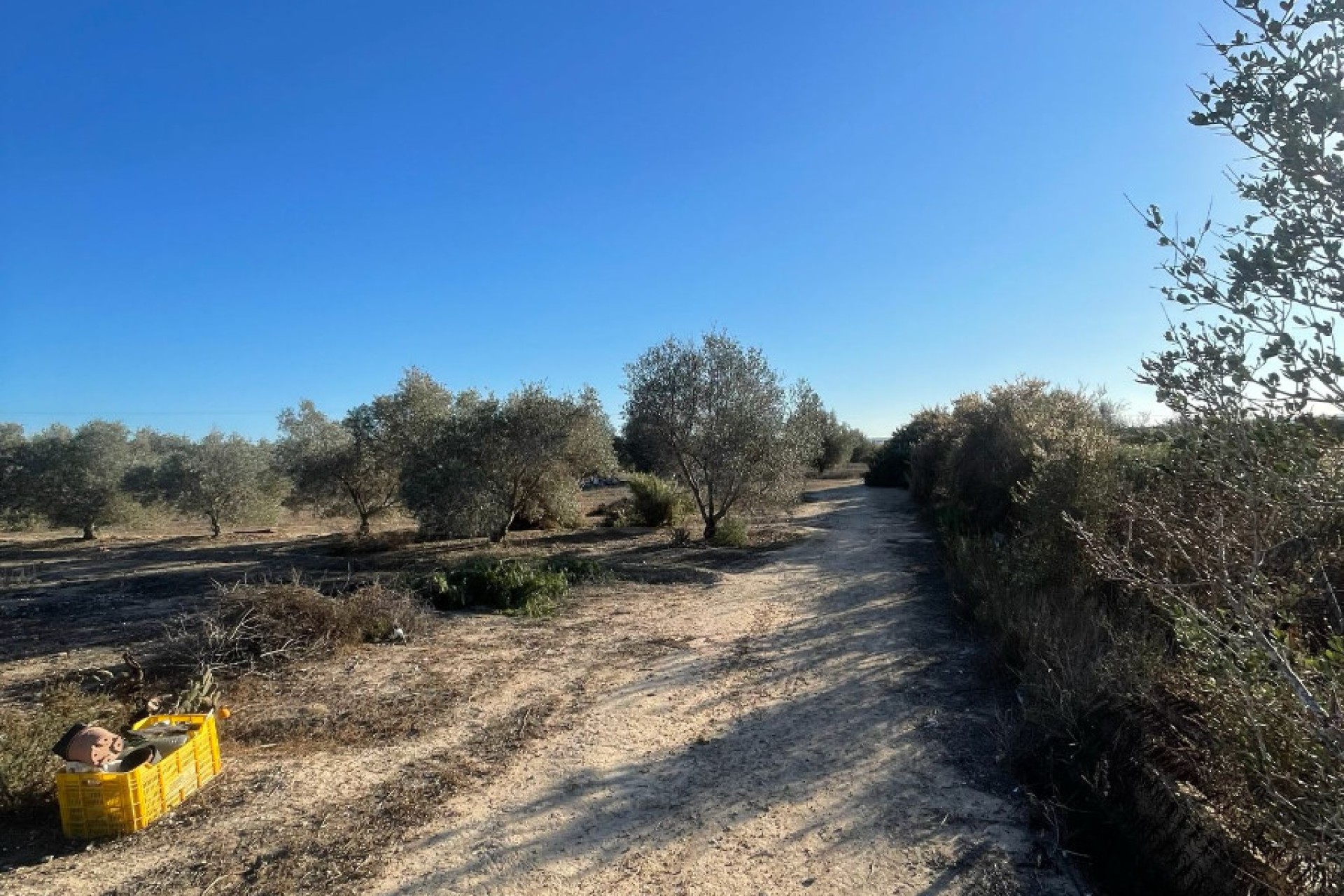 Sale - Finca - Elche - La Marina