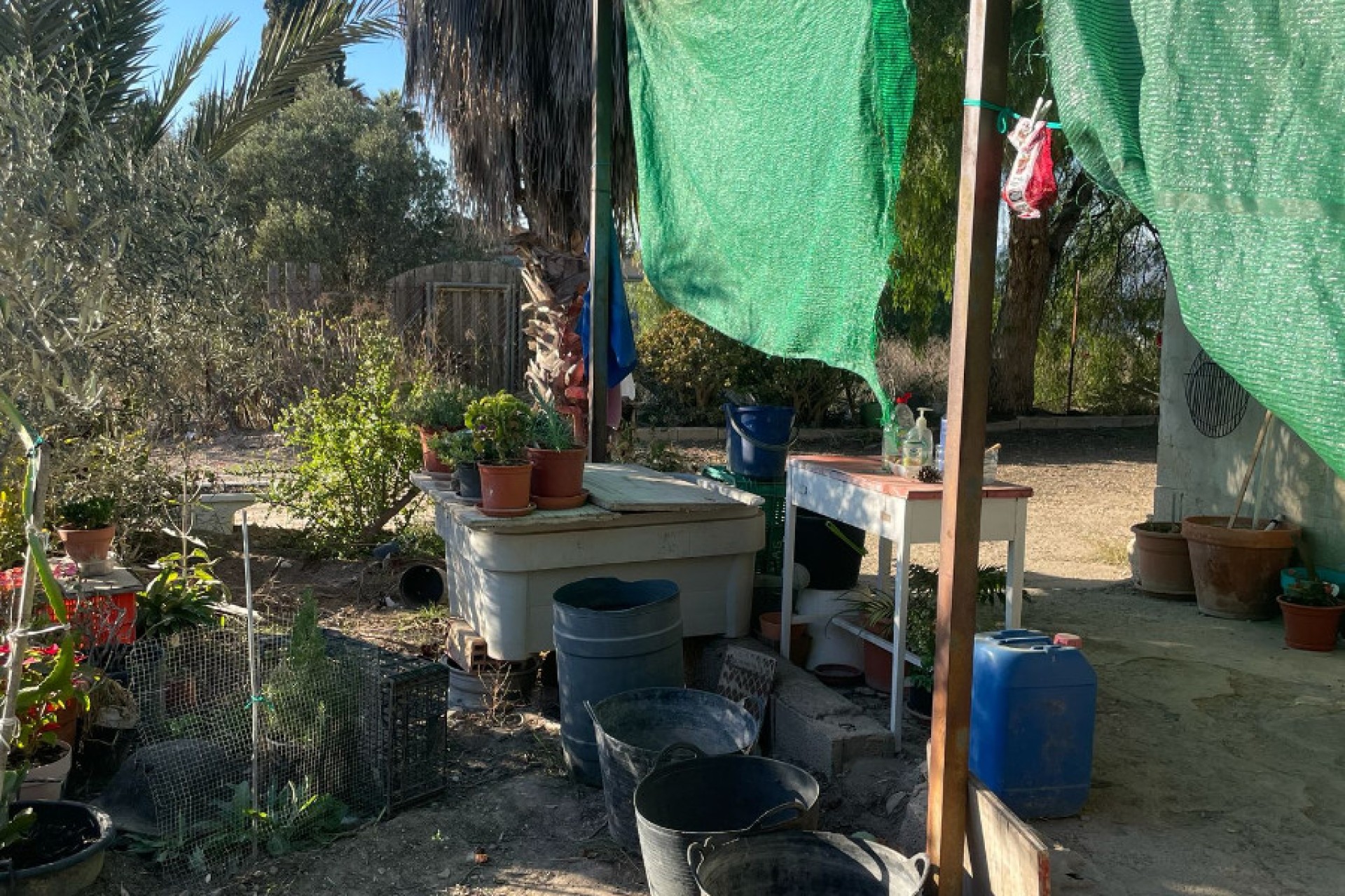 Sale - Finca - Elche - La Marina