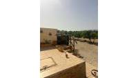 Sale - Finca - Elche - Partida Daimes, La Hoya
