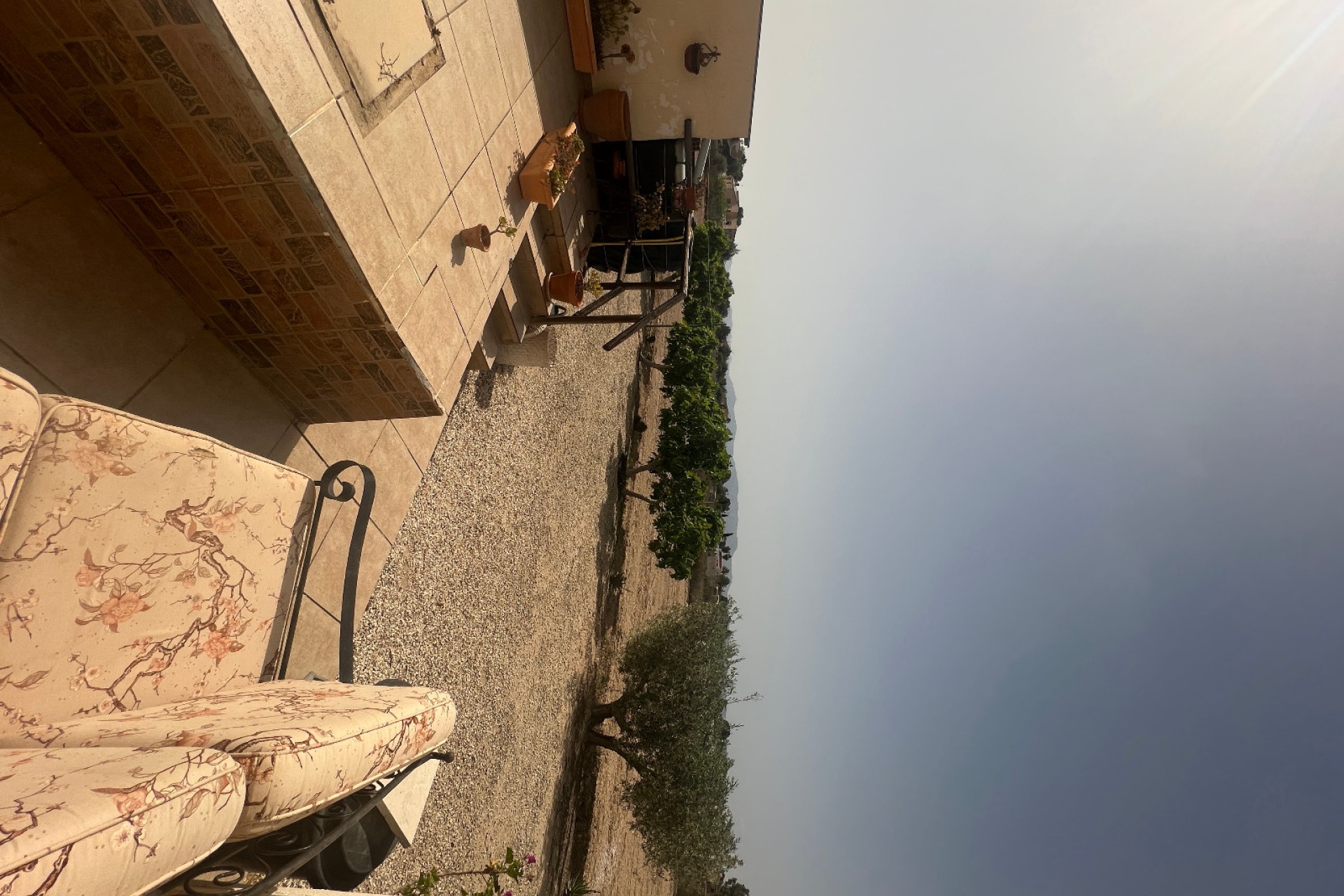 Sale - Finca - Elche - Partida Daimes, La Hoya