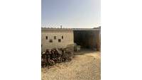 Sale - Finca - Elche - Partida Daimes, La Hoya