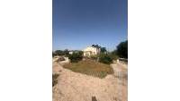 Sale - Finca - Elche - Partida Daimes, La Hoya