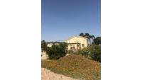 Sale - Finca - Elche - Partida Daimes, La Hoya