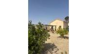 Sale - Finca - Elche - Partida Daimes, La Hoya