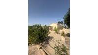 Sale - Finca - Elche - Partida Daimes, La Hoya