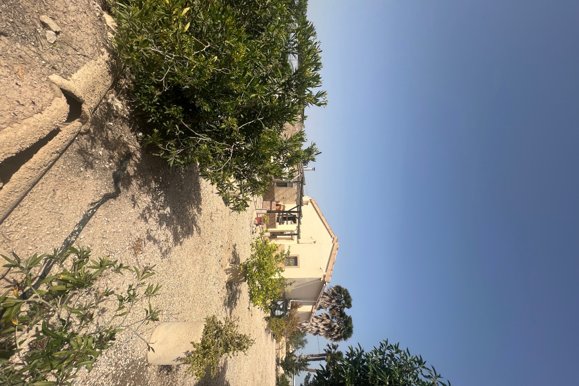 Sale - Finca - Elche - Partida Daimes, La Hoya