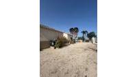 Sale - Finca - Elche - Partida Daimes, La Hoya