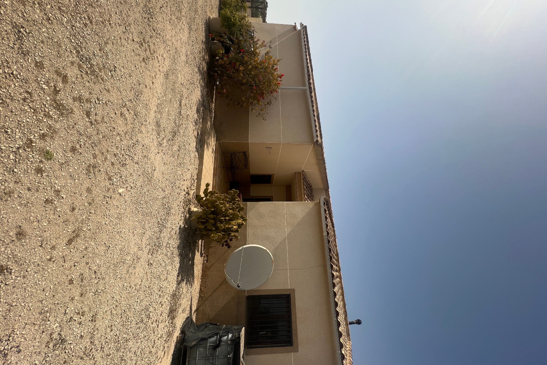 Sale - Finca - Elche - Partida Daimes, La Hoya