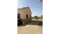 Sale - Finca - Elche - Partida Daimes, La Hoya