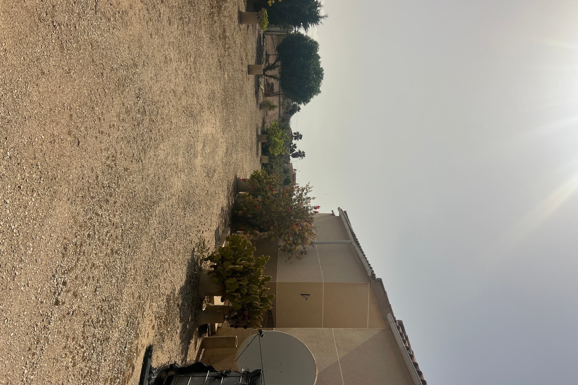 Sale - Finca - Elche - Partida Daimes, La Hoya