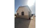 Sale - Finca - Elche - Partida Daimes, La Hoya