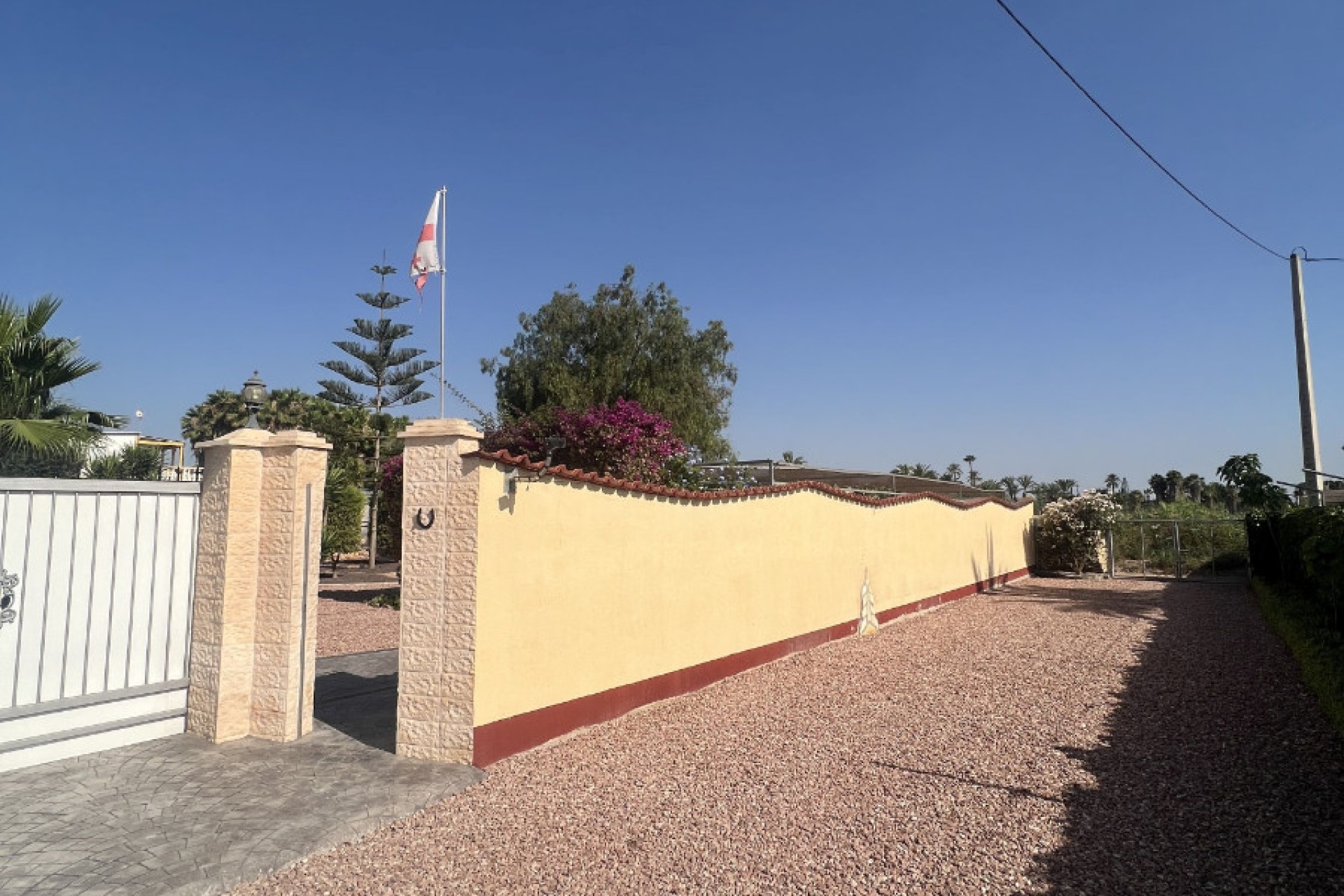 Sale - Finca - Elche - Partida Daimes, La Hoya