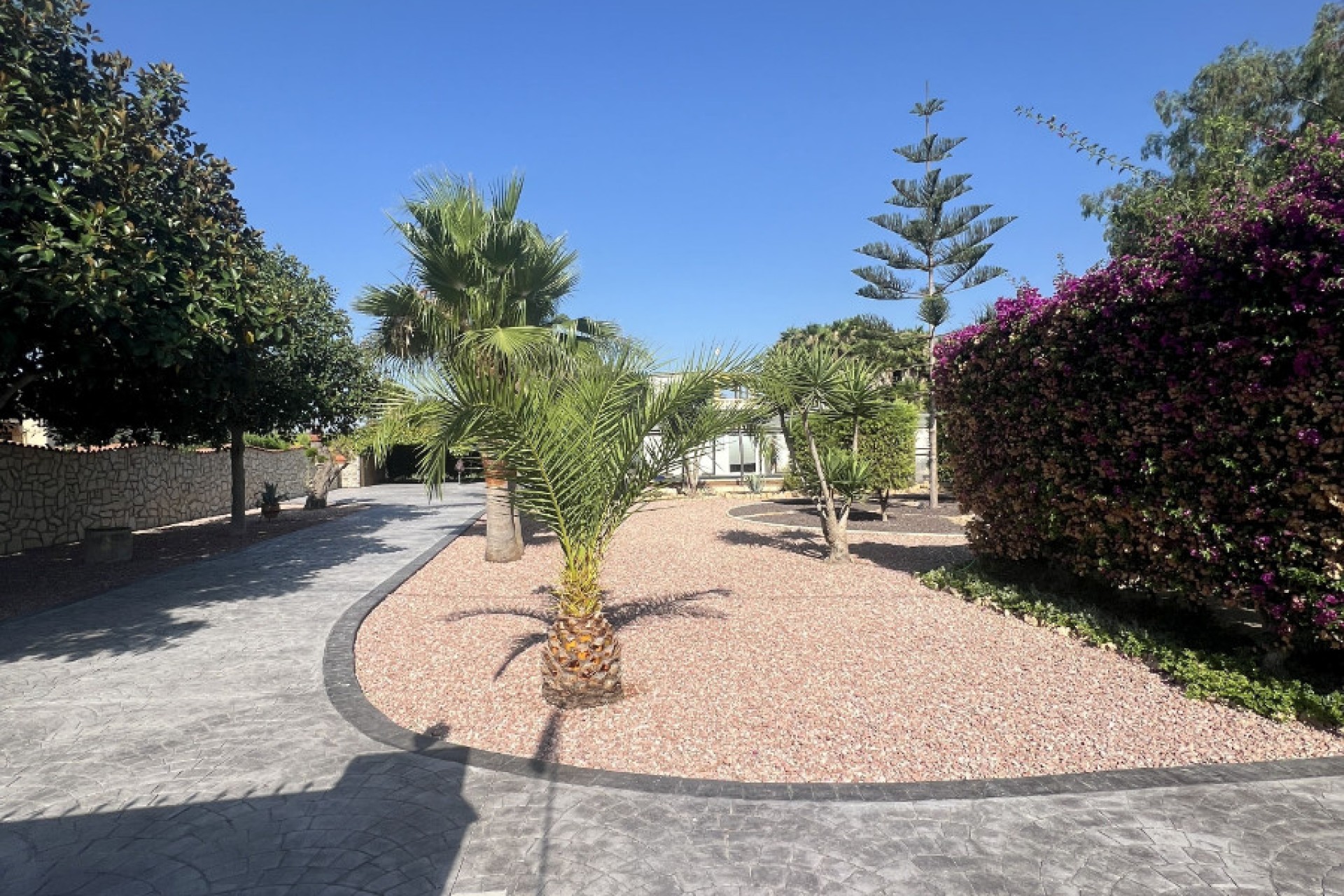 Sale - Finca - Elche - Partida Daimes, La Hoya