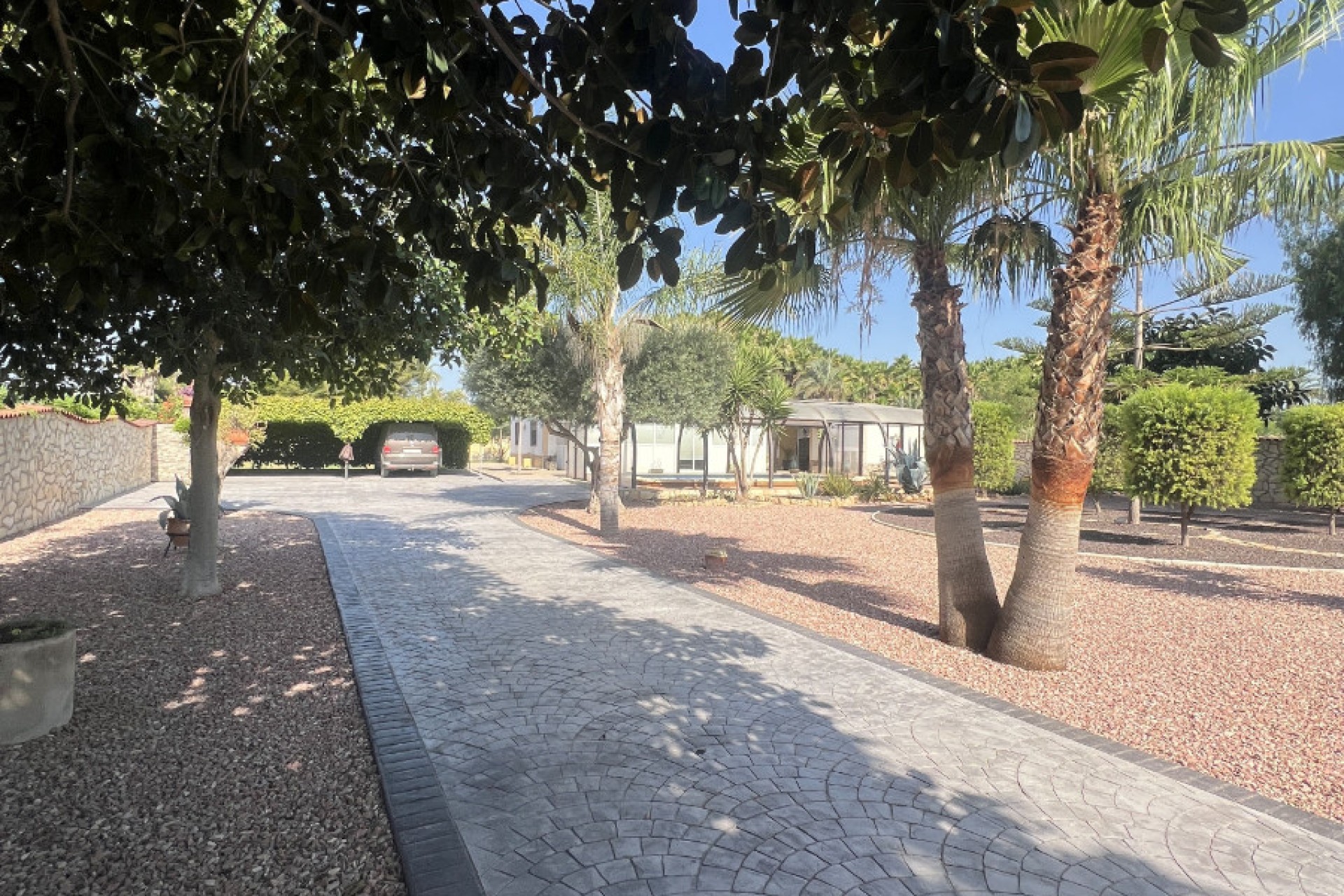 Sale - Finca - Elche - Partida Daimes, La Hoya