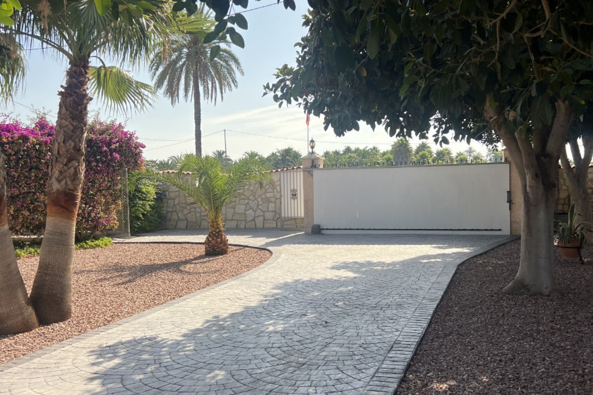Sale - Finca - Elche - Partida Daimes, La Hoya