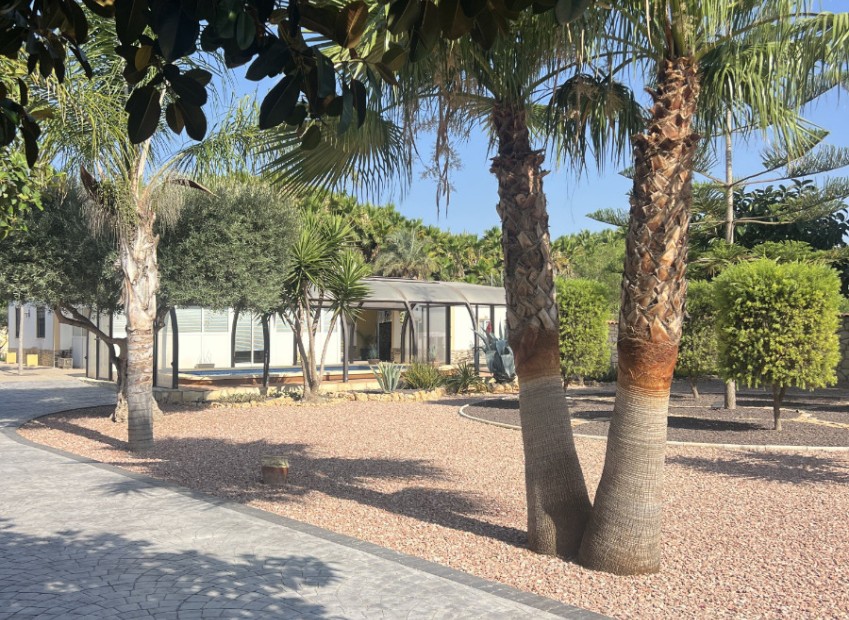 Sale - Finca - Elche - Partida Daimes, La Hoya