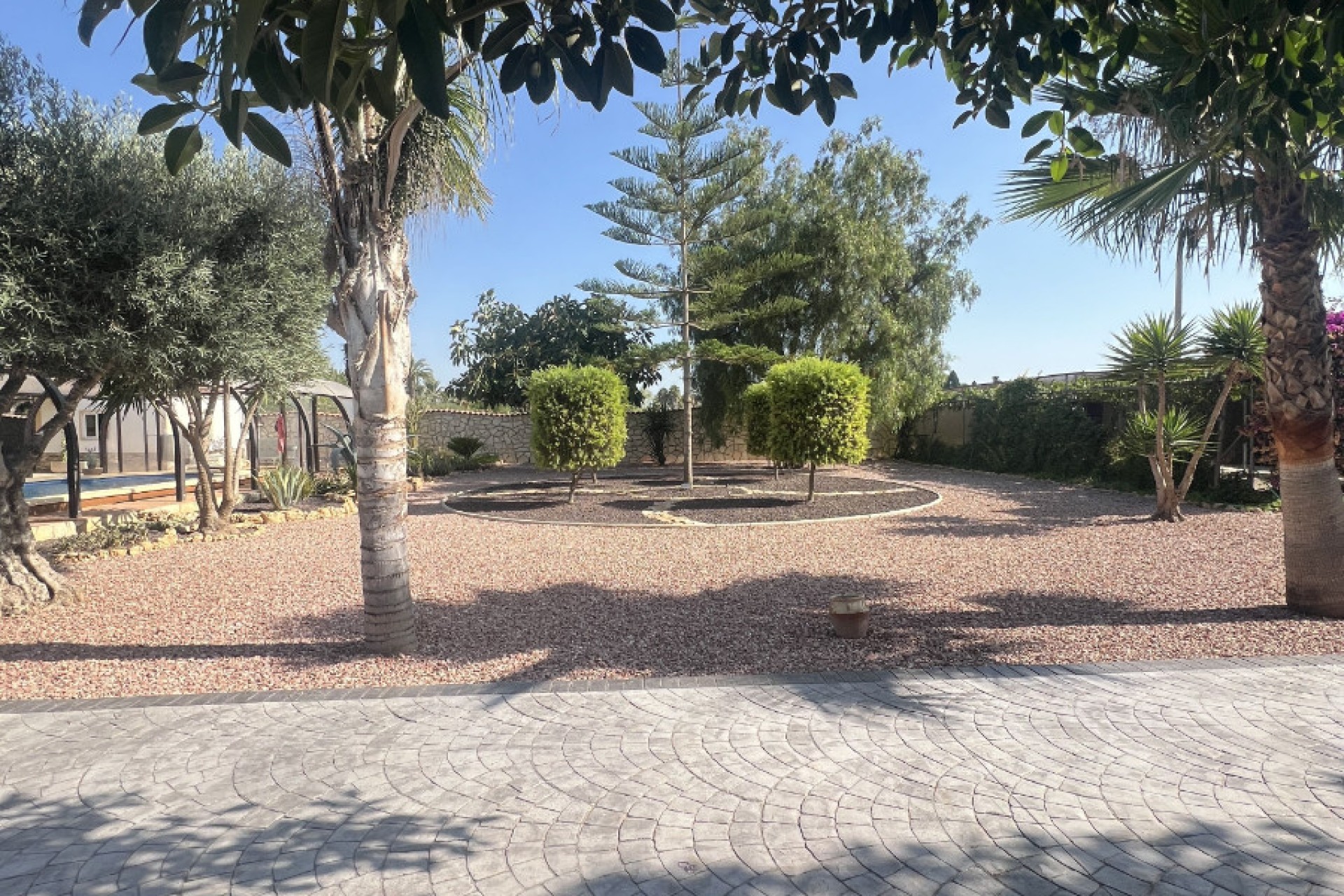 Sale - Finca - Elche - Partida Daimes, La Hoya