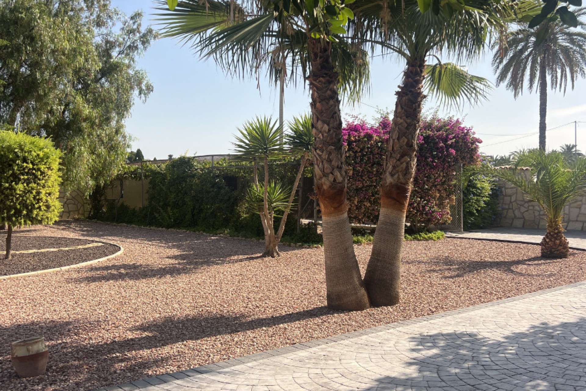 Sale - Finca - Elche - Partida Daimes, La Hoya