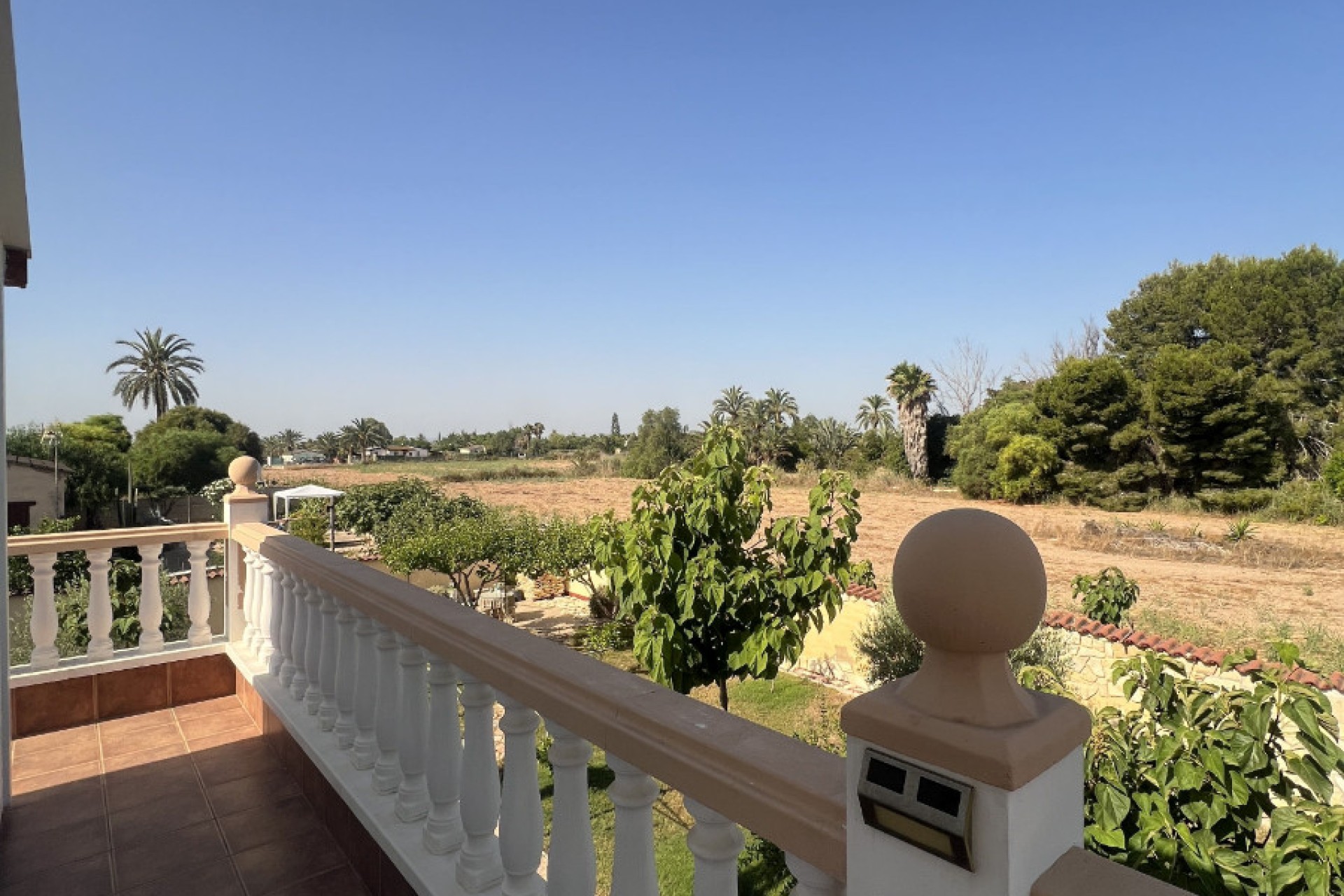 Sale - Finca - Elche - Partida Daimes, La Hoya