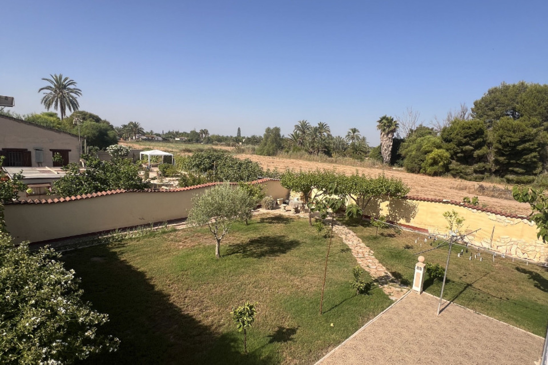 Sale - Finca - Elche - Partida Daimes, La Hoya