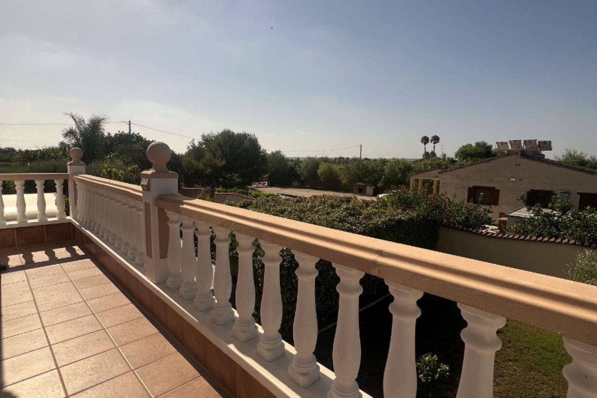 Sale - Finca - Elche - Partida Daimes, La Hoya
