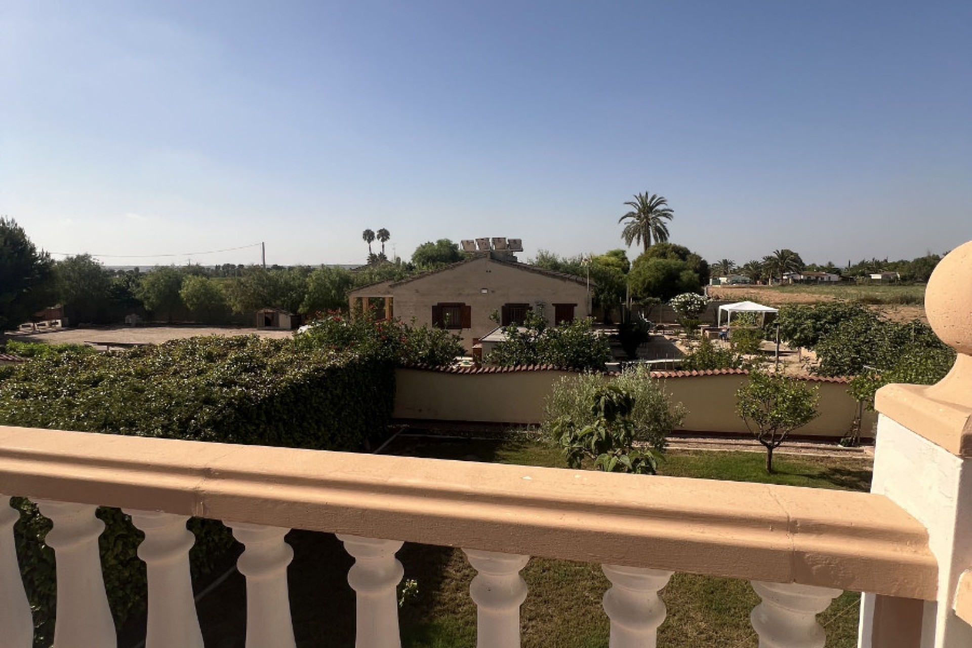 Sale - Finca - Elche - Partida Daimes, La Hoya