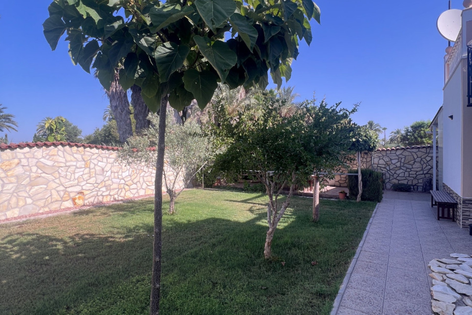 Sale - Finca - Elche - Partida Daimes, La Hoya