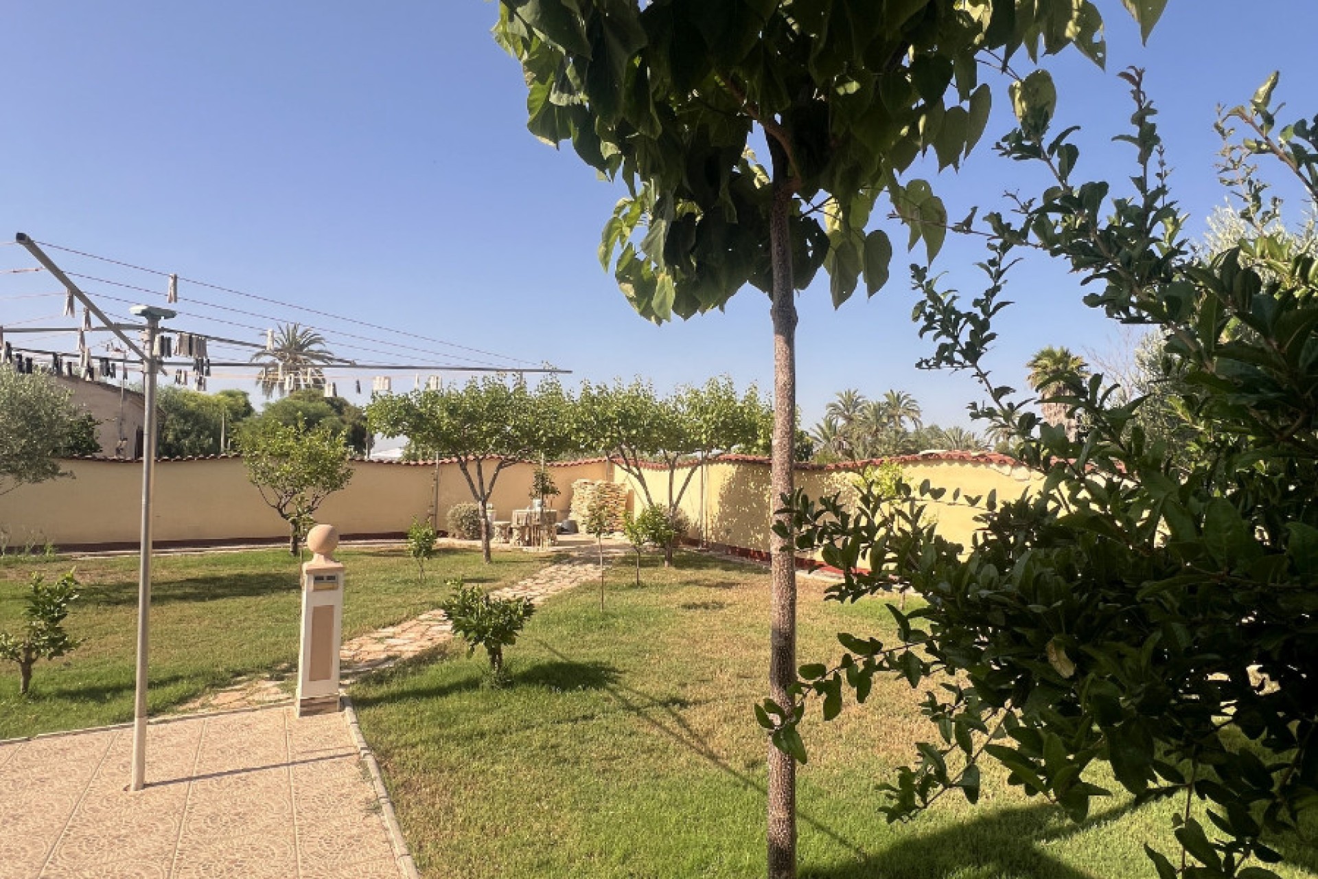 Sale - Finca - Elche - Partida Daimes, La Hoya