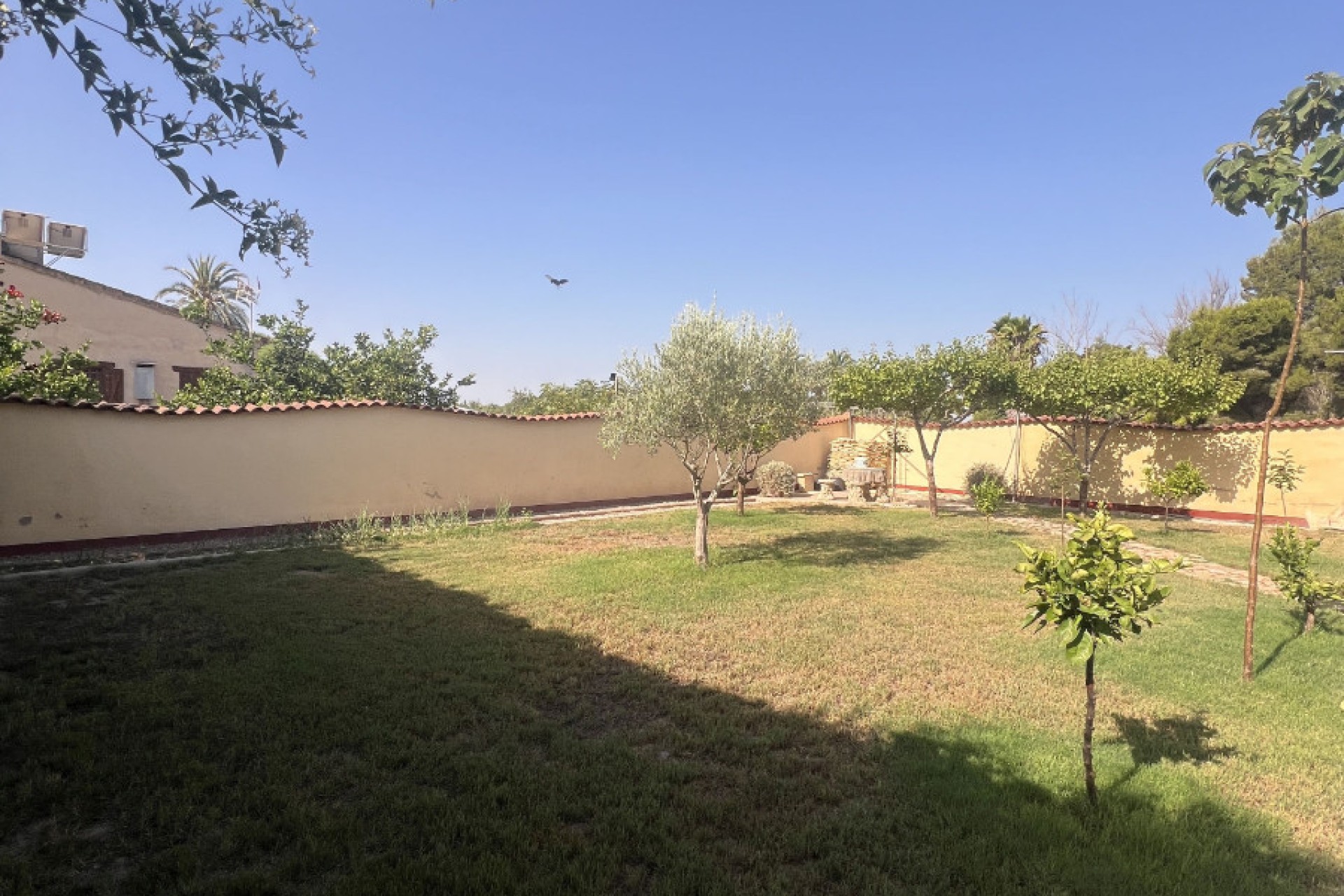 Sale - Finca - Elche - Partida Daimes, La Hoya