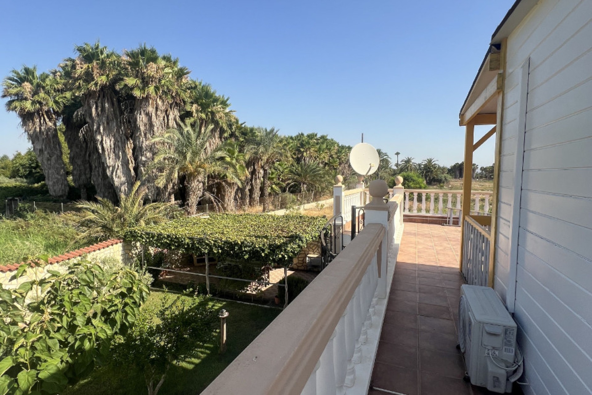 Sale - Finca - Elche - Partida Daimes, La Hoya