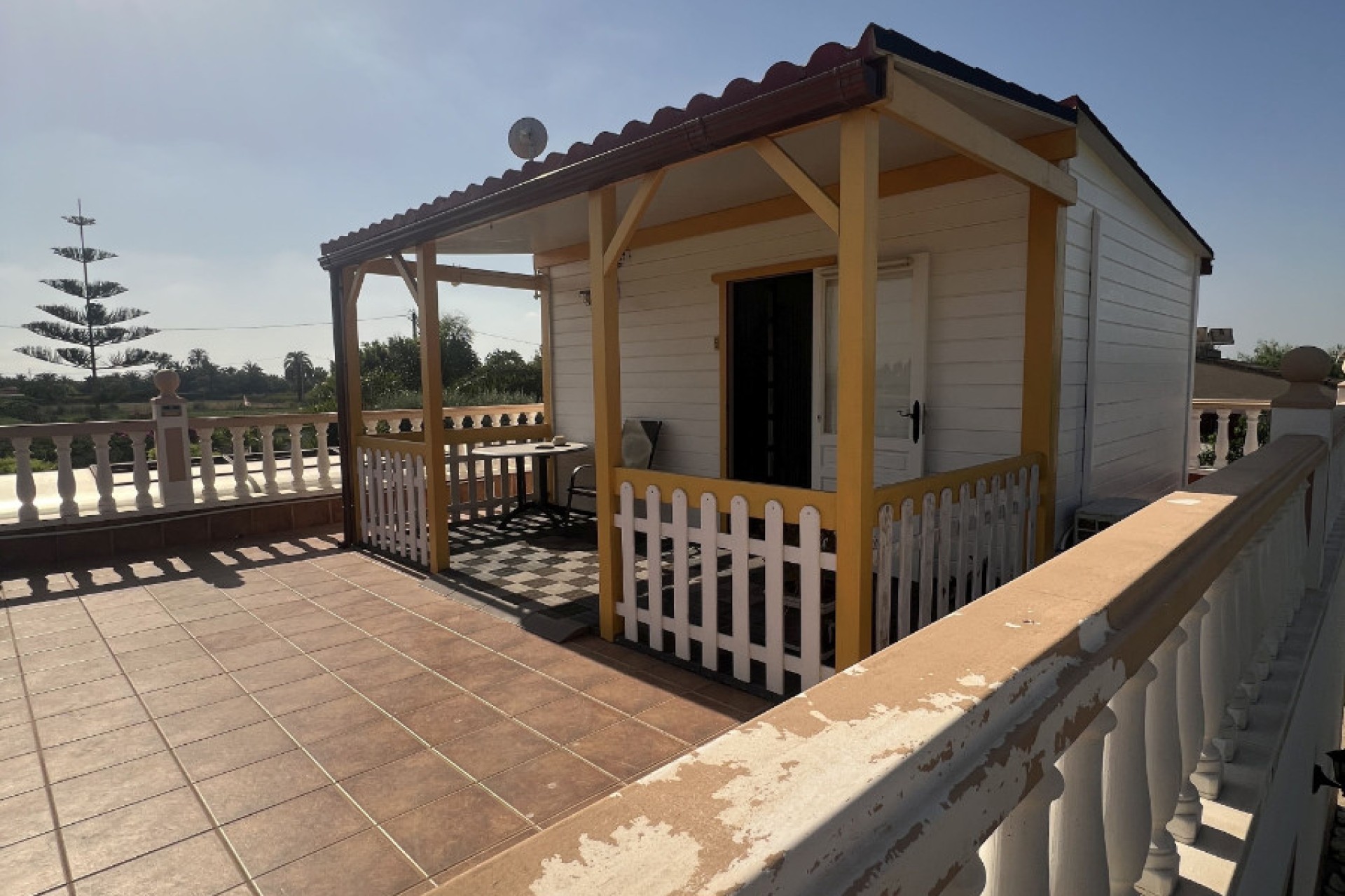 Sale - Finca - Elche - Partida Daimes, La Hoya