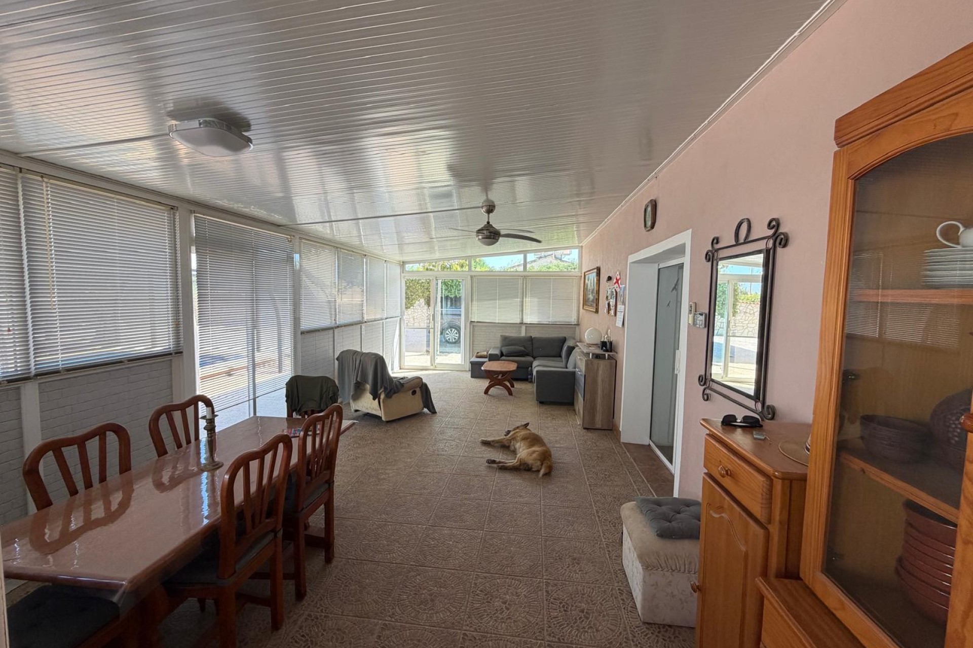 Sale - Finca - Elche - Partida Daimes, La Hoya