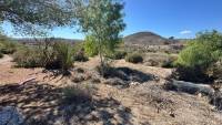Sale - Finca - Guardamar del Segura - Guardamar