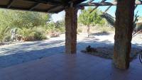 Sale - Finca - Guardamar del Segura - Guardamar