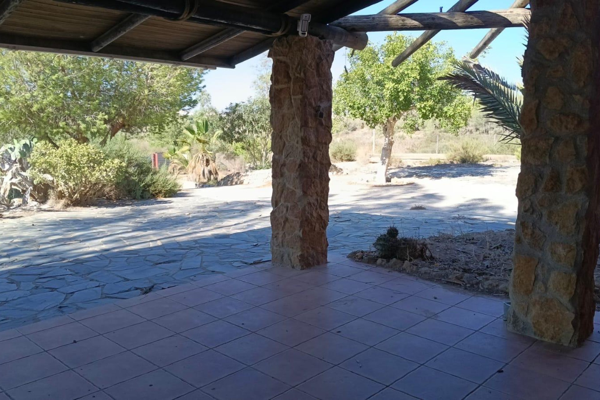 Sale - Finca - Guardamar del Segura - Guardamar