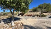 Sale - Finca - Guardamar del Segura - Guardamar
