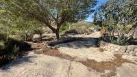 Sale - Finca - Guardamar del Segura - Guardamar
