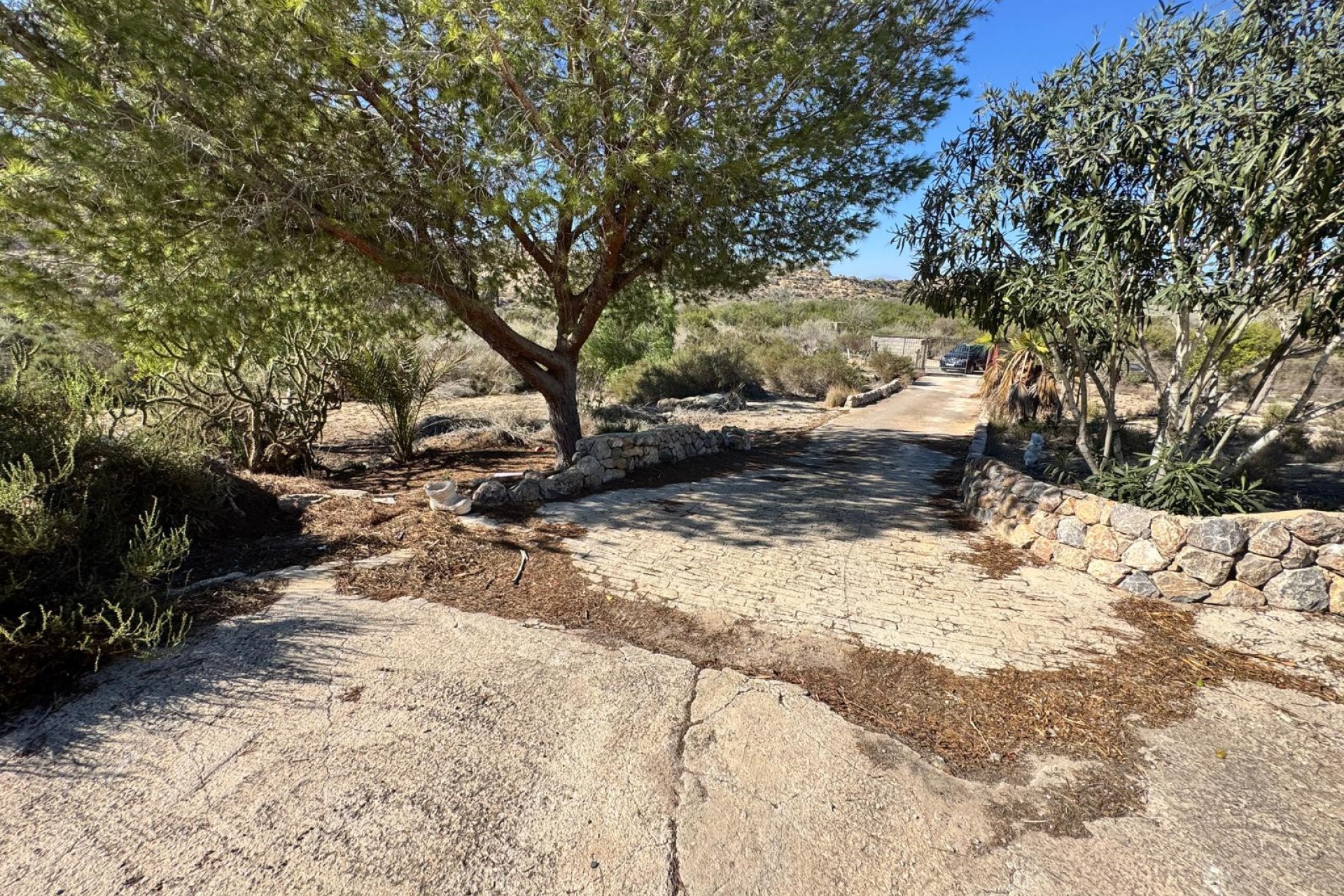 Sale - Finca - Guardamar del Segura - Guardamar