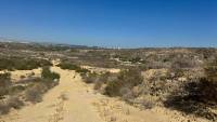 Sale - Finca - Guardamar del Segura - Guardamar
