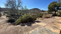 Sale - Finca - Guardamar del Segura - Guardamar
