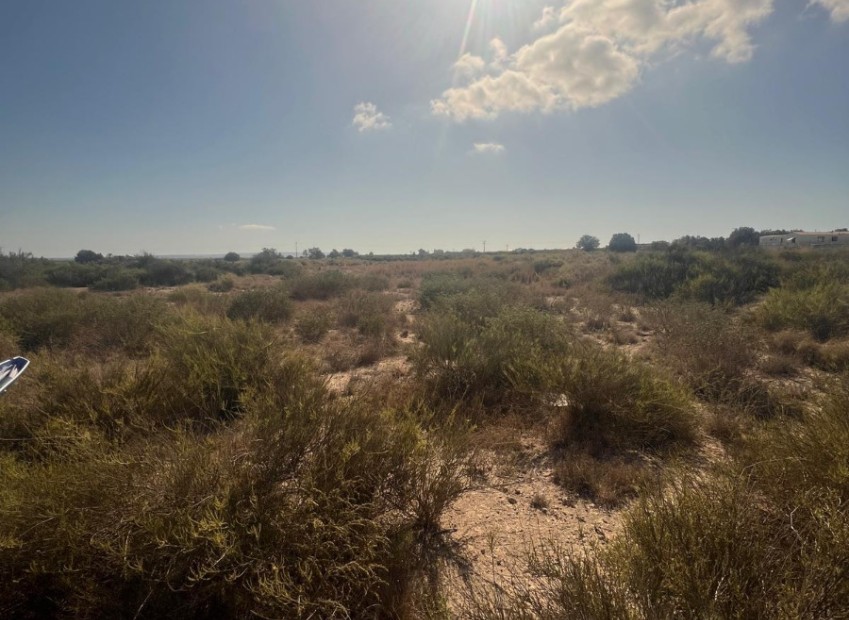 Sale - Grundstück - Elche - El Pinet 