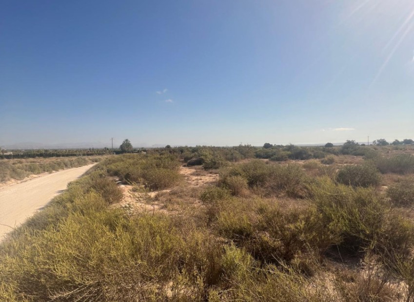 Sale - Grundstück - Elche - El Pinet 