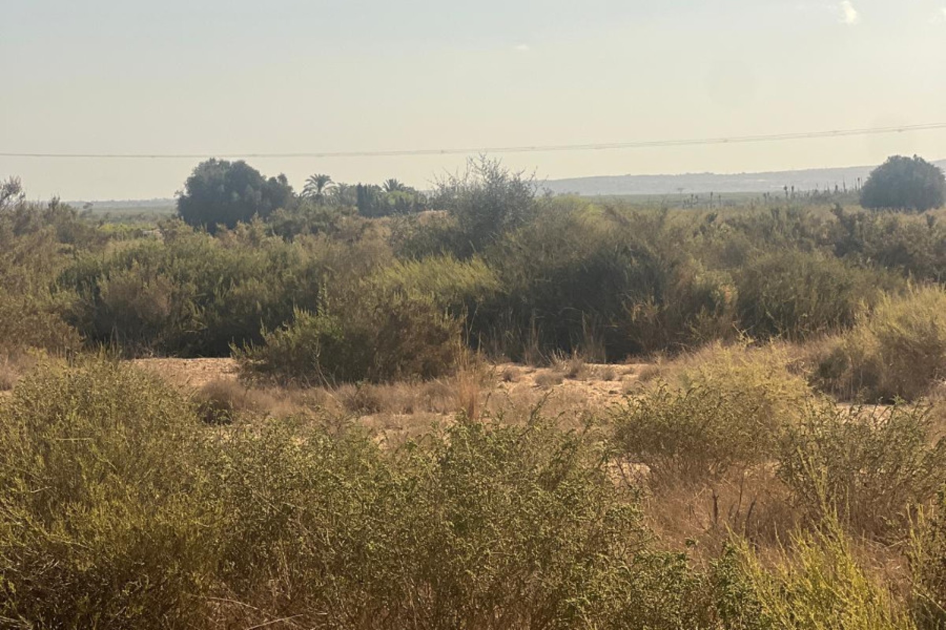 Sale - Grundstück - Elche - El Pinet 