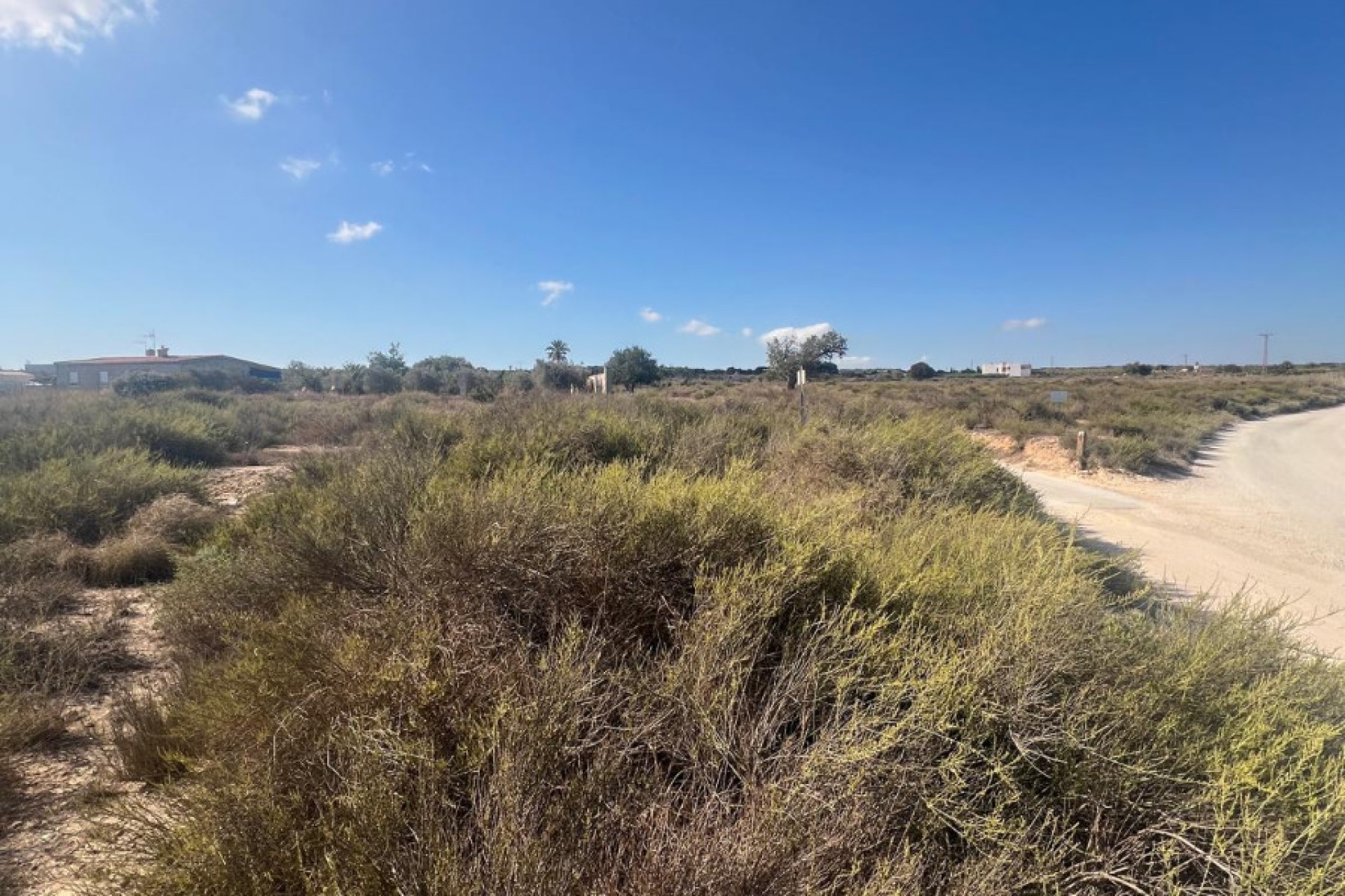 Sale - Grundstück - Elche - El Pinet 