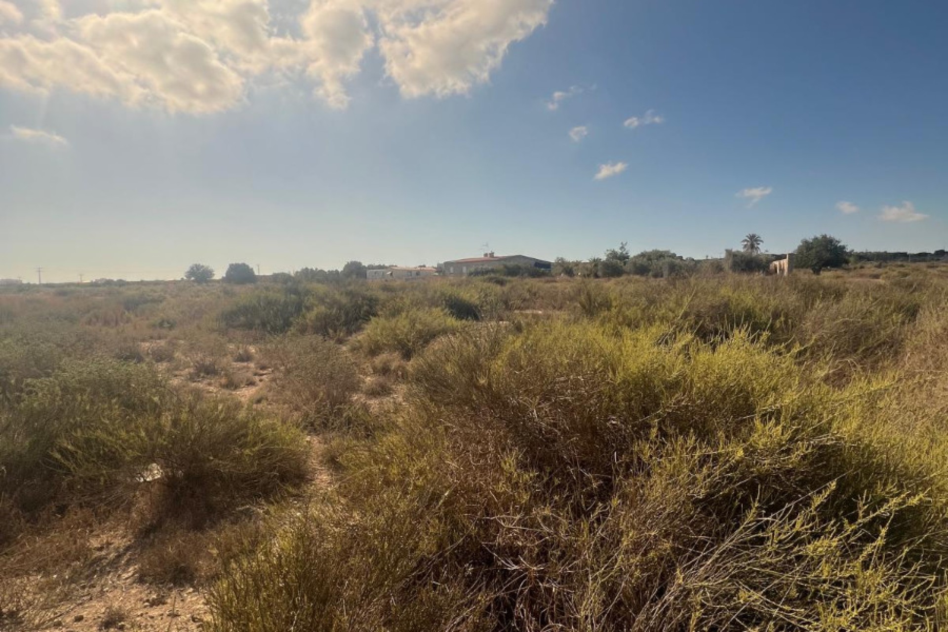 Sale - Grundstück - Elche - El Pinet 