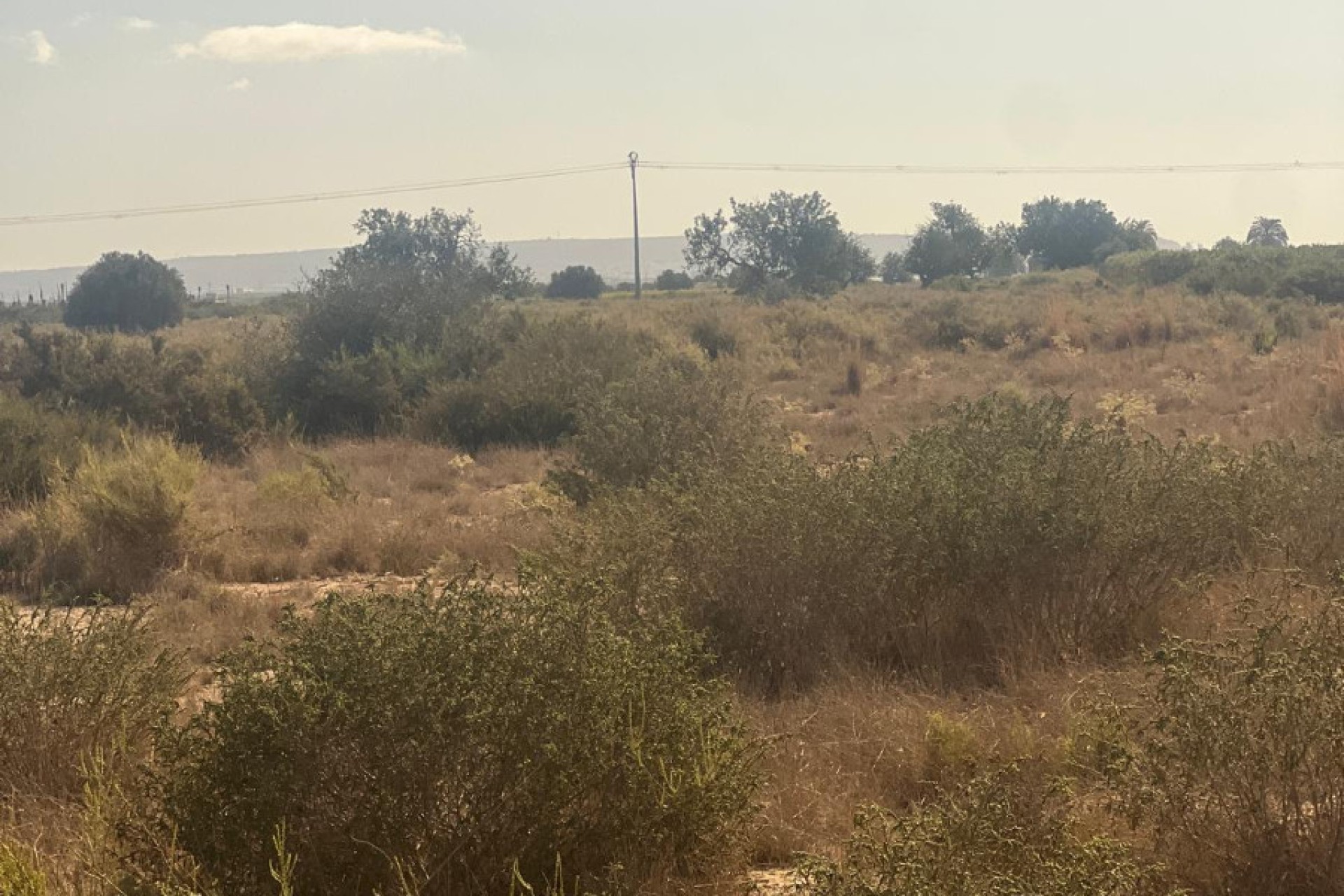 Sale - Plot - Elche - El Pinet