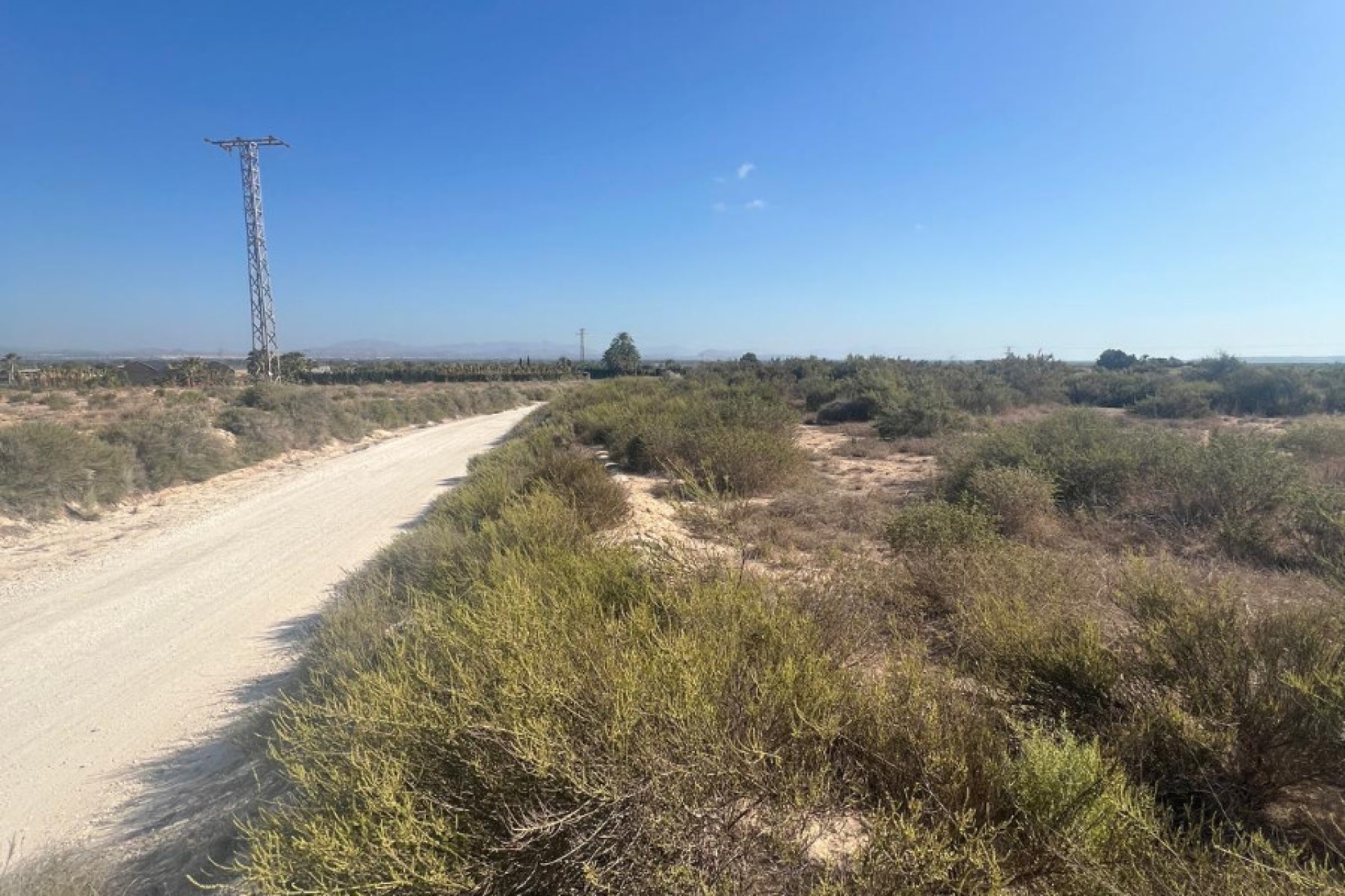 Sale - Plot - Elche - El Pinet